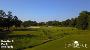 True Blue Hole #9