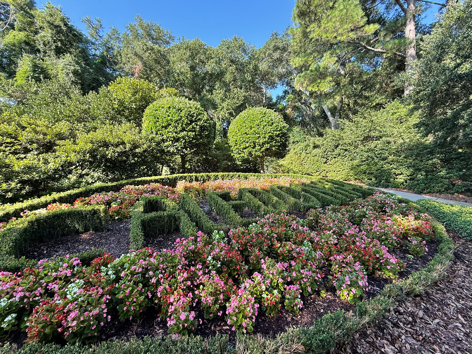 Caledonia Golf & Fish Club Voted South Carolina’s Best Public Course by GolfPass Readers